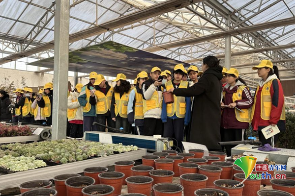 喀什大学：36万学子投身社会实践讲好“行走的思政课”(图2)