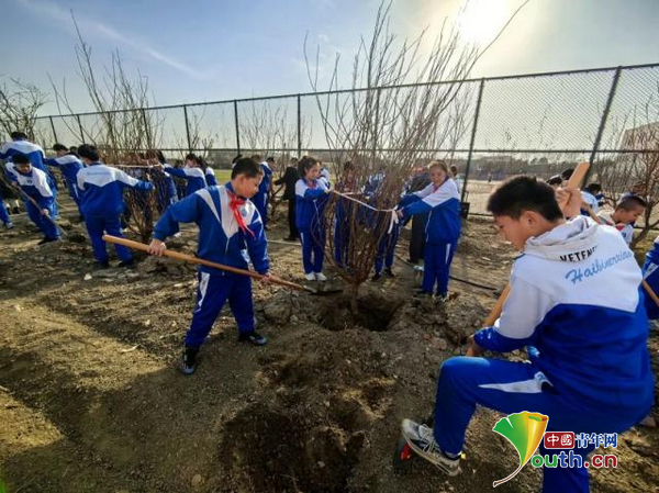 天津市少先队员开展形式多样的义务植树活动